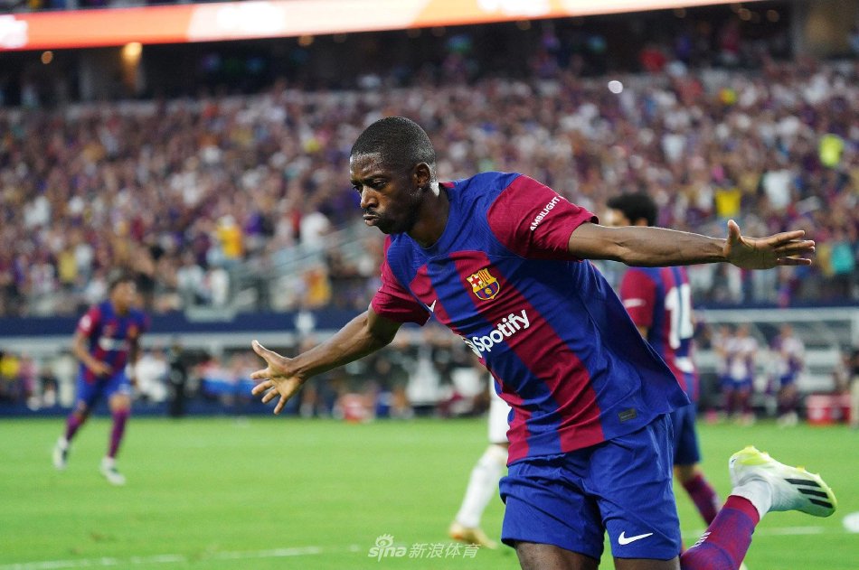 年轻化的豪 年轻化的豪